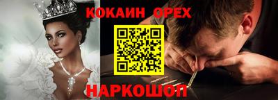 apvp Краснодар