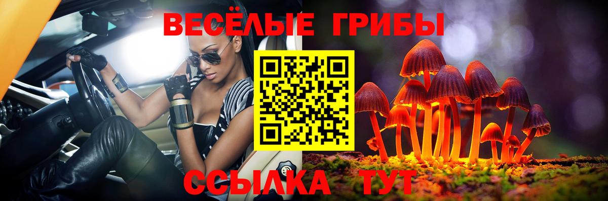 Псилоцибиновые грибы Psilocybe Благовещенск